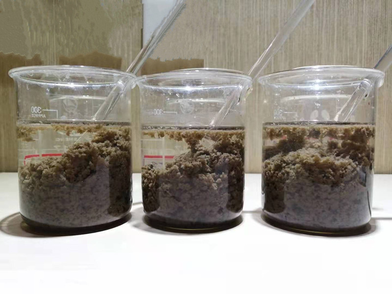 �۱�ϩ����ʵ��