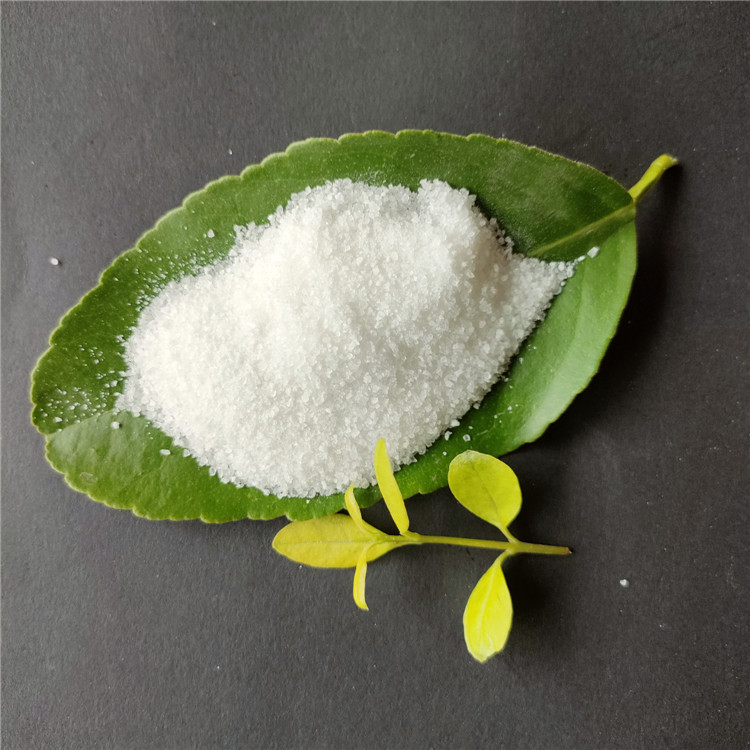 �۱�ϩ����