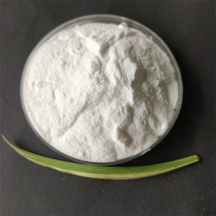 ��״�۱�ϩ����